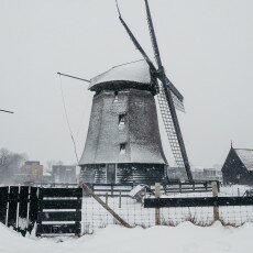 Snow and windmills 20