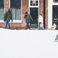 Snow storm in Alkmaar 12