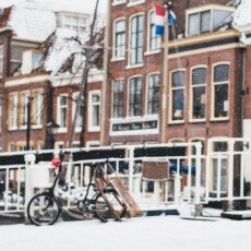 Snow storm in Alkmaar 15