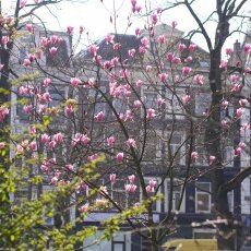 A splash of seasonal colour 16