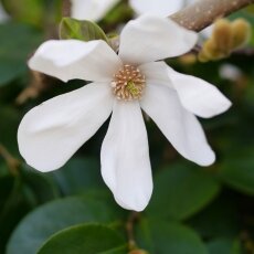 A splash of seasonal colour 20