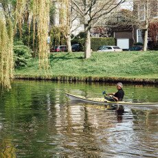 Cherry Blossom Alkmaar 08