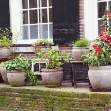 A spring morning in Amsterdam 02