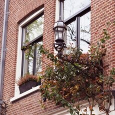 A spring morning in Amsterdam 13