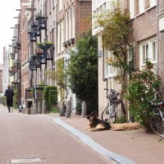 A spring morning in Amsterdam 15