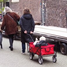 A spring morning in Amsterdam 22