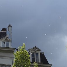 Spring snow in Amsterdam 11