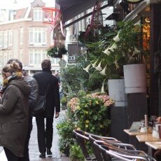 Spring snow in Amsterdam 08