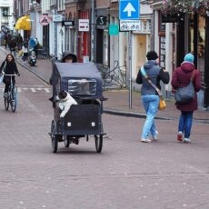 Spring snow in Amsterdam 09