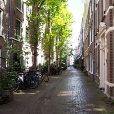 Spring snow in Amsterdam 17