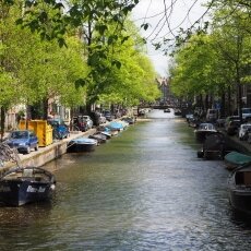 Spring snow in Amsterdam 18