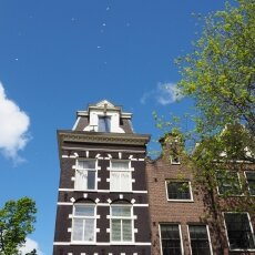 Spring snow in Amsterdam 19