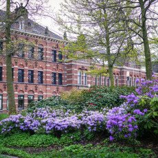 Amsterdam in May 01