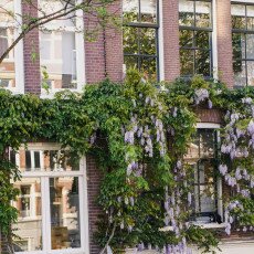Amsterdam in May 12
