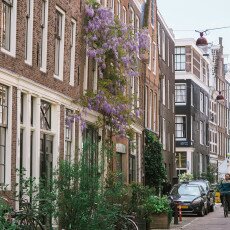 Amsterdam in May 20