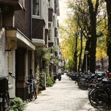 Autumn in Stadionbuurt 03