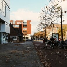 Autumn in Stadionbuurt 08