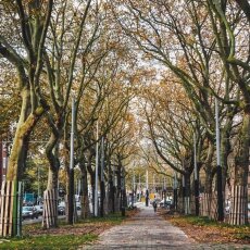 Autumn in Stadionbuurt 10