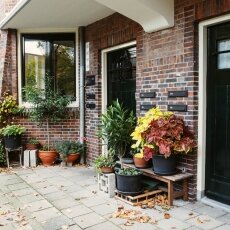 Autumn in Stadionbuurt 12