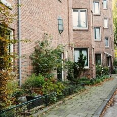 Autumn in Stadionbuurt 14