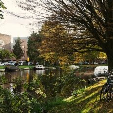 Autumn in Stadionbuurt 15