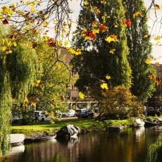 Autumn in Stadionbuurt 16