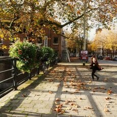 Autumn in Stadionbuurt 17