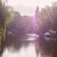 Autumn in Stadionbuurt 18