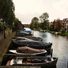 Autumn in Stadionbuurt 21
