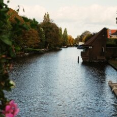 Autumn in Stadionbuurt 25