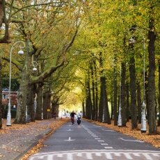 Autumn in Stadionbuurt 27