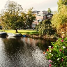 Autumn in Stadionbuurt 31