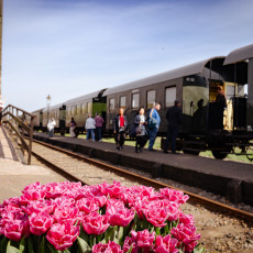 Steam-tram-Hoorn-Medemblik-08