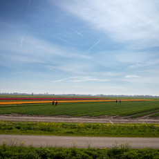 Steam-tram-Hoorn-Medemblik-14
