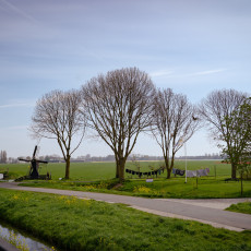Steam-tram-Hoorn-Medemblik-17