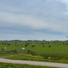 Steam-tram-Hoorn-Medemblik-21
