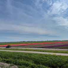 Steam-tram-Hoorn-Medemblik-22