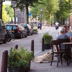 Summer 2018 heatwave 06