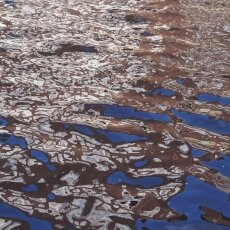 Summer 2018 heatwave 07