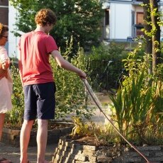 Summer 2018 heatwave 23