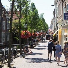 Summer in Delft 07