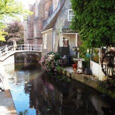 Summer in Delft 08