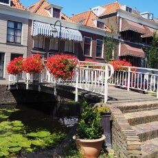 Summer in Delft 09
