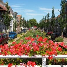 Summer in Delft 10