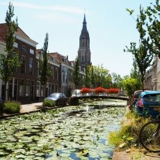 Summer in Delft 12