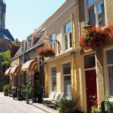 Summer in Delft 20