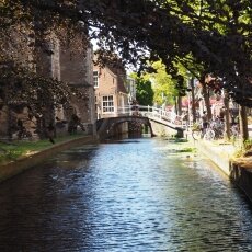 Summer in Delft 14