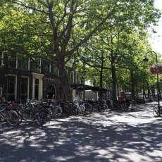 Summer in Delft 23