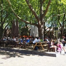 Summer in Delft 24