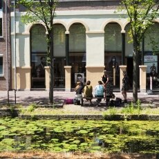 Summer in Delft 15